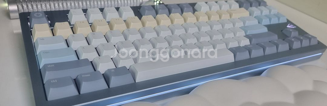 커스텀키보드 paper80 blue WK--1
