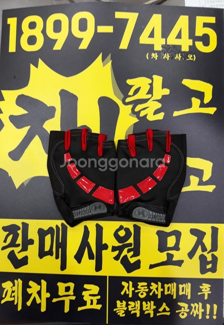 자전거 라이딩(스포츠), 등산, 낚시, 장갑 신품 판매--0