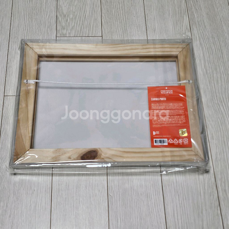 PTDONTHESTAG퍼투댄캔버스포토방탄소년단BTS--1