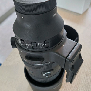 시그마 150-600mm 렌즈 소니 마운트