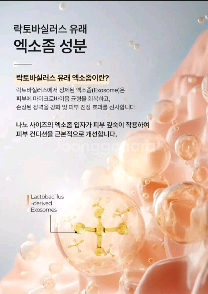 (새상품) 시카 마데카소사이드 엑소바이오좀 앰플--5