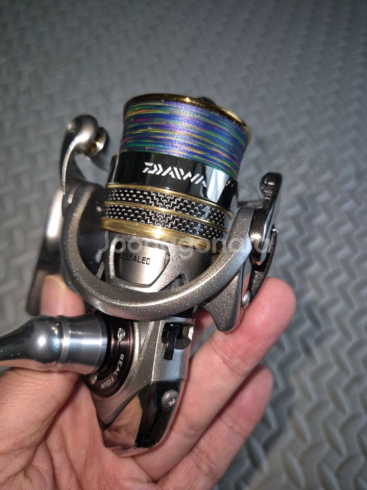 다이와 12 루비아스 2004릴--0