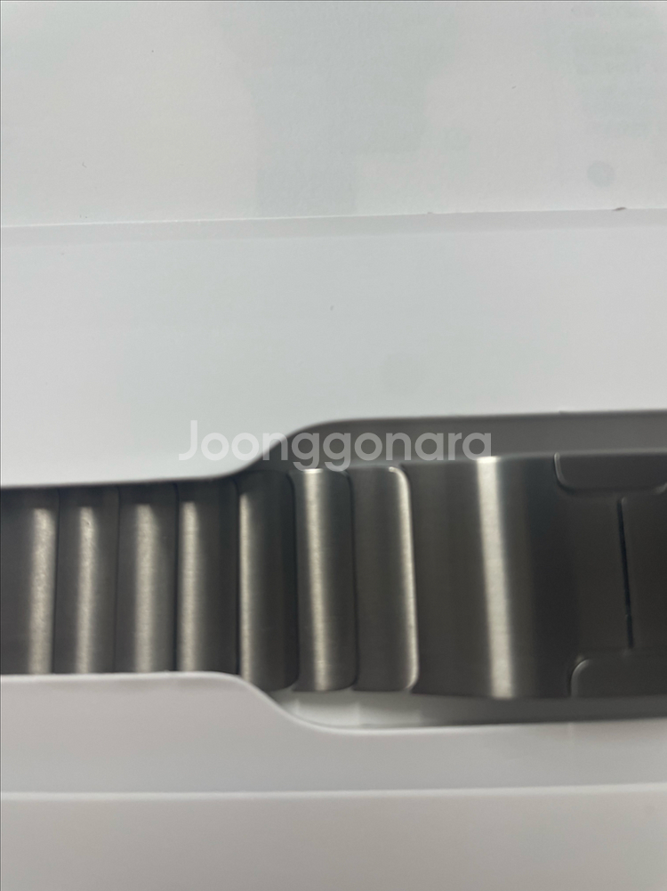 애플워치 링크브레이슬릿 내추럴 42mm 시착--1