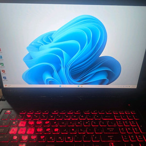 ASUS TUF GAMING F17 게이밍노트북