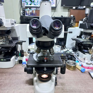 생혈액관찰 3안CCD 위상차현미경 대여렌탈 이미지