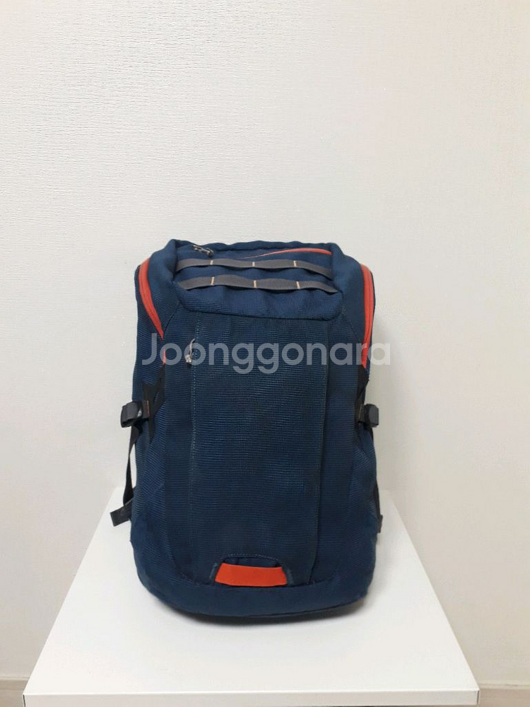 파타고니아 빈티지 백팩 25리터--1