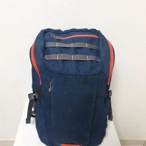 파타고니아 빈티지 백팩 25리터