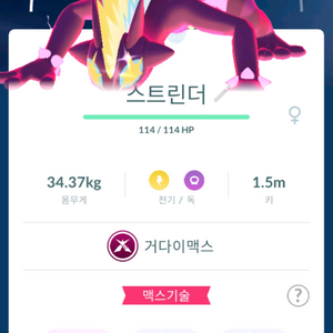 포켓몬고 거다이맥스 스트린더 5종 판매