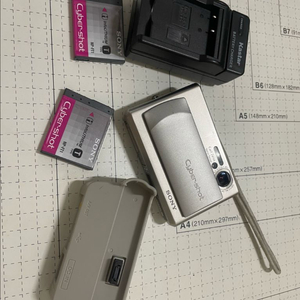 DSC-T1 센서사망