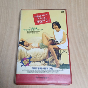 최진실 정선경 파격노출 엄마에게 애인이 생겼어요 비디오