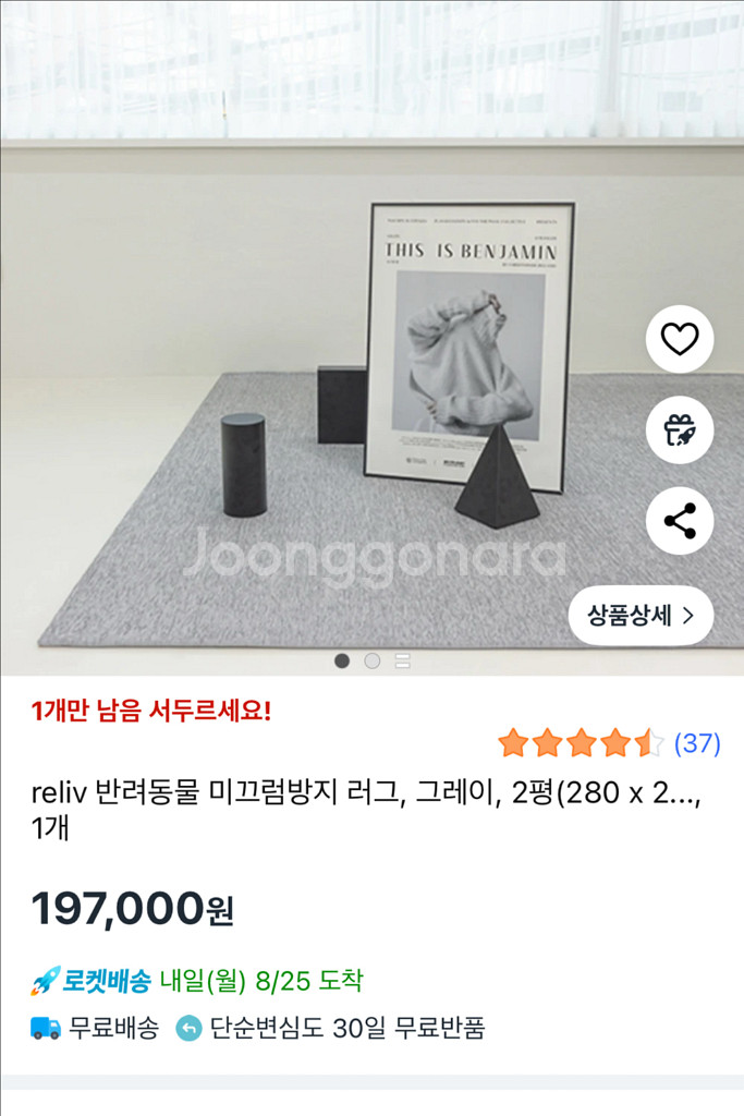 릴리브펫러그--1