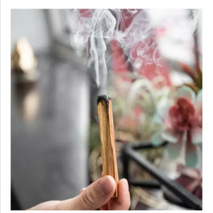 페루산 팔로산토 스틱 프리미엄A급 23+5