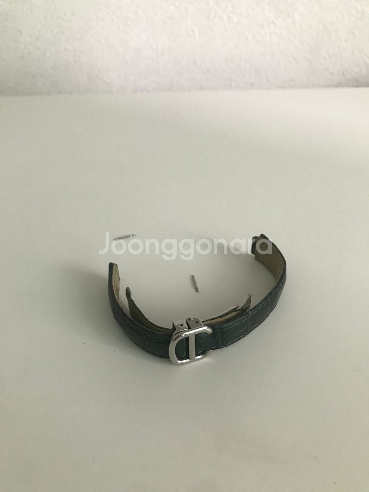 까르띠에 발롱블루28 악어 엘리 그린 스트랩 시계줄 +--0