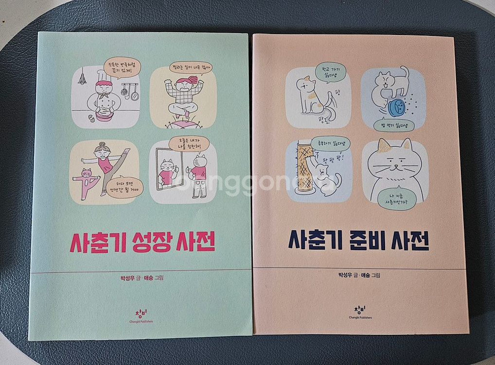 사춘기 준비 사전(창비)--0