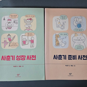 사춘기 준비 사전(창비)