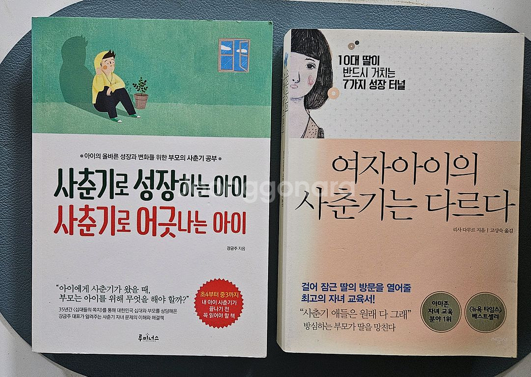 사춘기 책--0