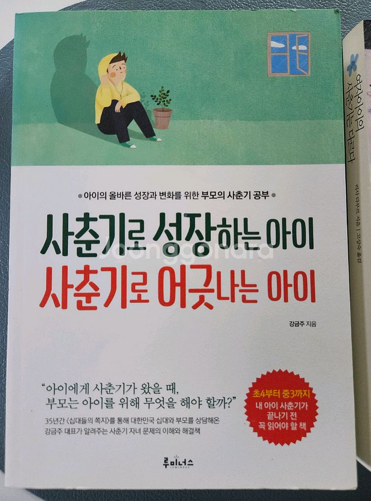 사춘기 책--1