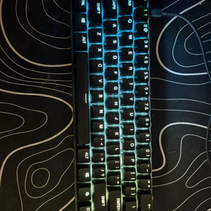 스틸시리즈 apex pro mini (키보드 입력하자)
