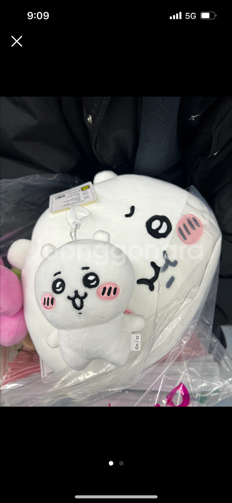 치이카와 쿠션인형--1
