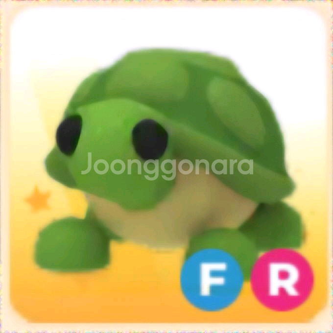 입양하세요 FR 거북--0