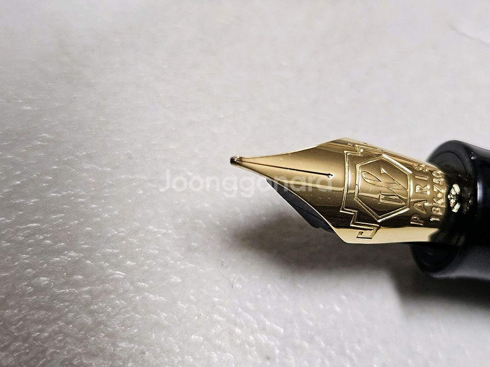 워터맨 찰스톤 블랙GT 18k F닙 만년필--3