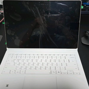 갤럭시 탭 s9 울트라 512GB WIFI 베이지