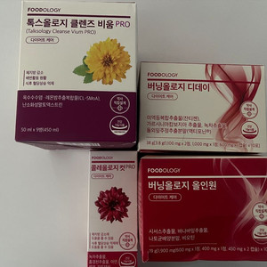 콜레컷 버닝올로지 올인원 디데이 톡스올로지 클렌즈 콜레