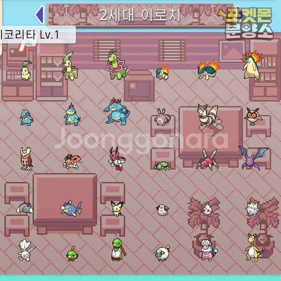 이로치 포켓몬 분양 / 브다샤펄 / 닌텐도 스위치--4