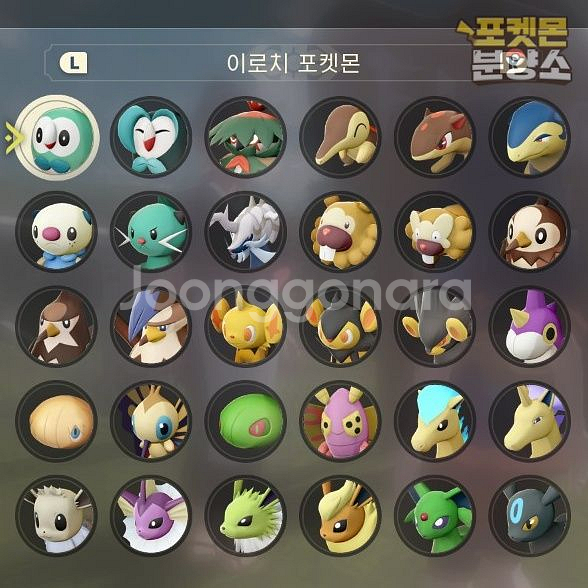 이로치 포켓몬 / 레전드 아르세우스 / 닌텐도 스위치--0