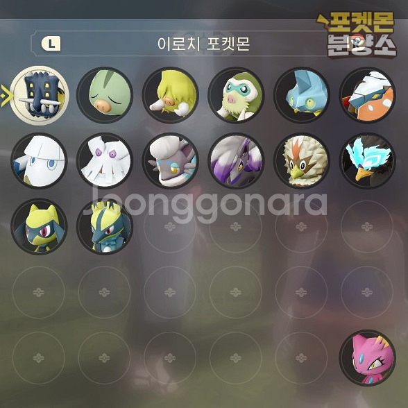 이로치 포켓몬 / 레전드 아르세우스 / 닌텐도 스위치--7