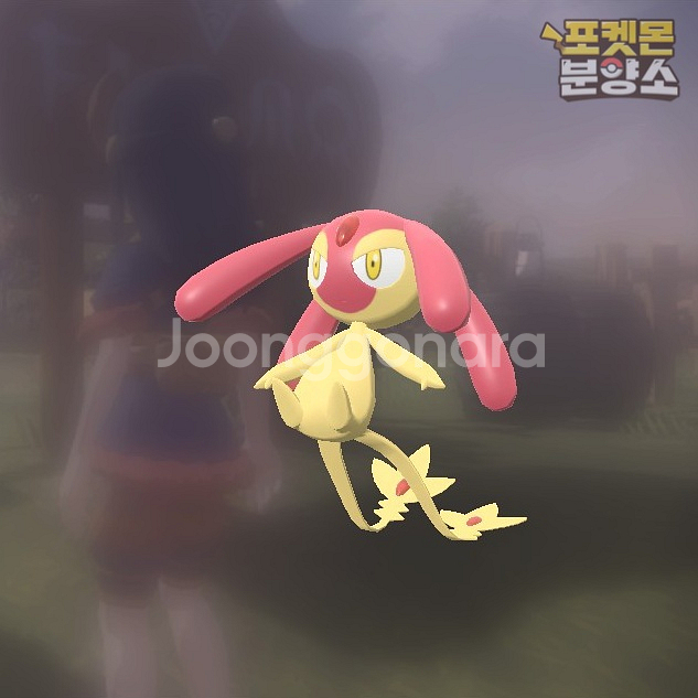 이로치 전설의 포켓몬 분양 / 레전드 아르세우스--5