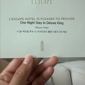 레스케프 호텔 더블킹룸 숙박권
