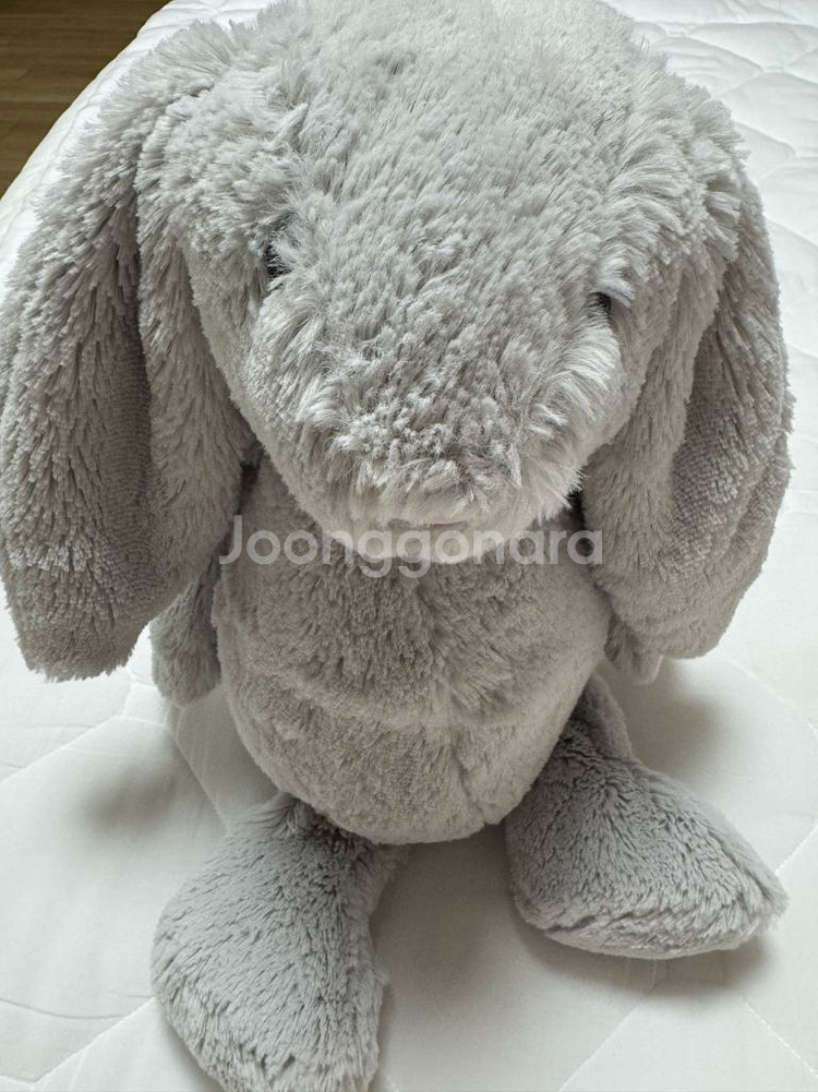 젤리캣 L그레이(실버)--1