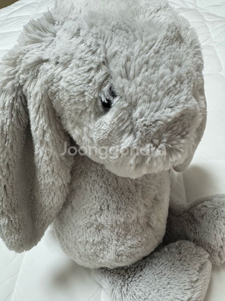 젤리캣 L그레이(실버)--2