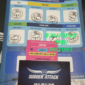 서든어택 쿠폰 20주년