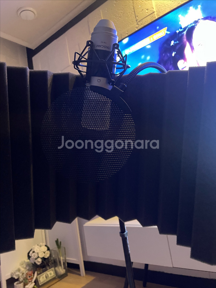 홈레코딩 입문자용 세트 tm80 콘덴서마이크 거치대--0