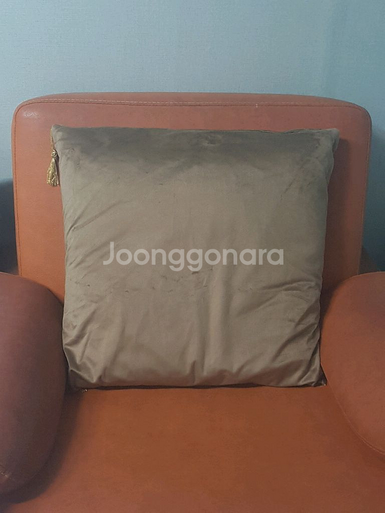 55x55 벨벳 쿠션커버--0
