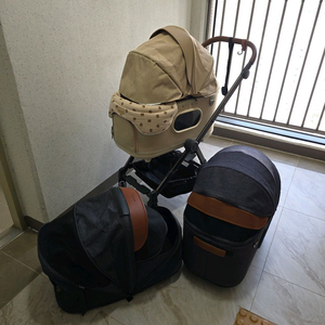 로얄테일즈 강아지 애견 유모친