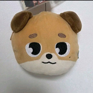 데이식스 도운 돈 릴패스 파우치 원가이하 양도