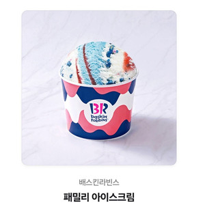 배스킨라빈스 패밀리 아이스크림