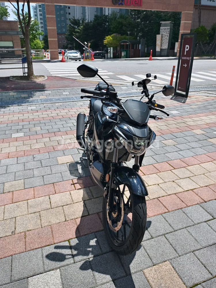 스즈키 gsx-s125--1