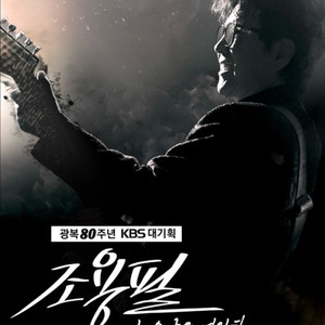광복 80주년 조용필 콘서트 그라운드 2연석 양도
