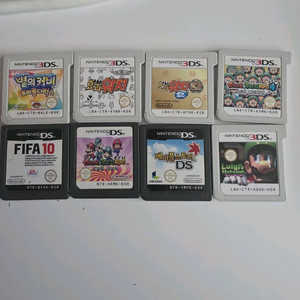 닌텐도DS/3DS 칩