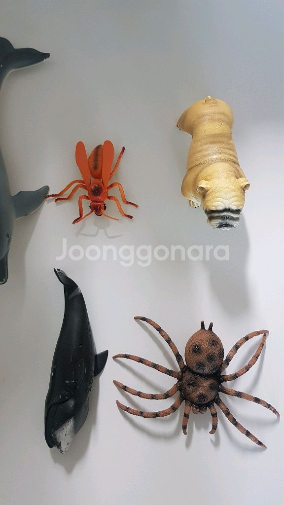 곤충 동물 피규어 장난감 손바닥보다 큽니다--1