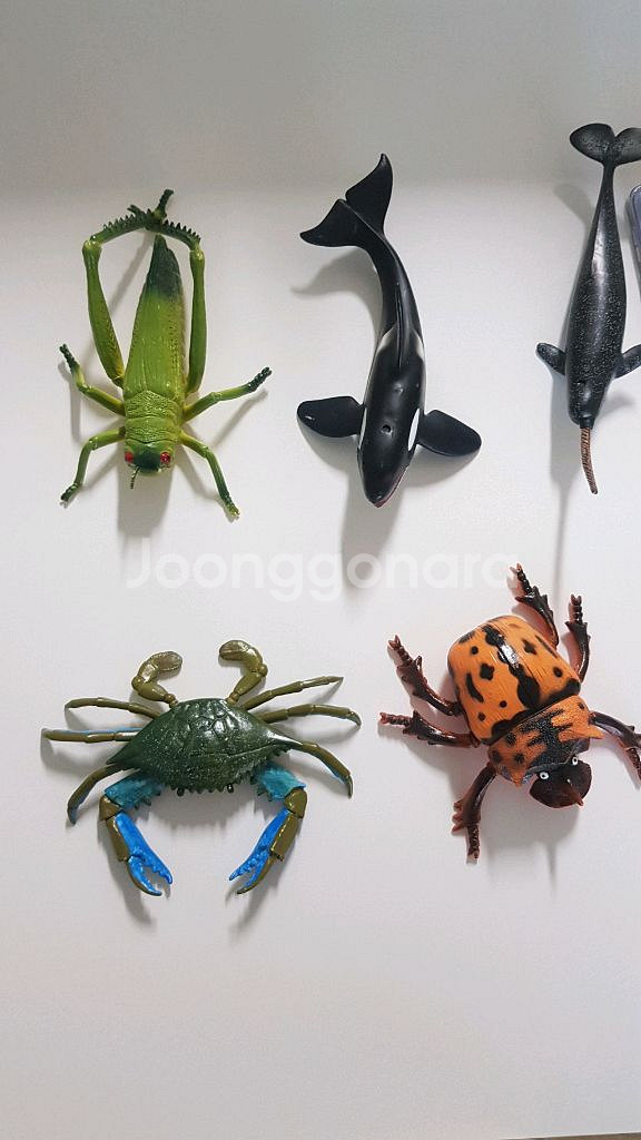 곤충 동물 피규어 장난감 손바닥보다 큽니다--3