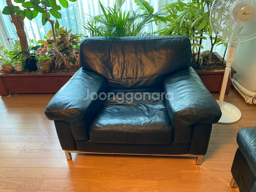 이태리 수입 3인용소파 + 1인용소파 세트--1
