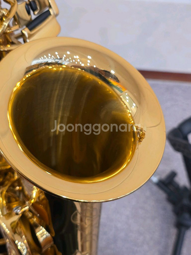 알토 색소폰 제니쿠퍼 포르테3--6