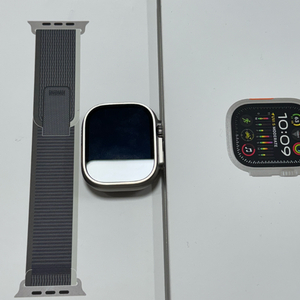 애플워치울트라49mm (애케플) 네츄럴티타늄