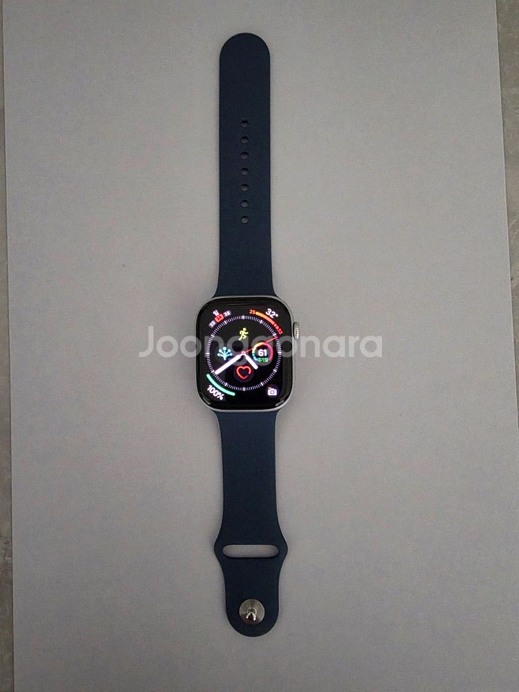애플워치 10 GPS 46mm 실버: 거의 새거--0