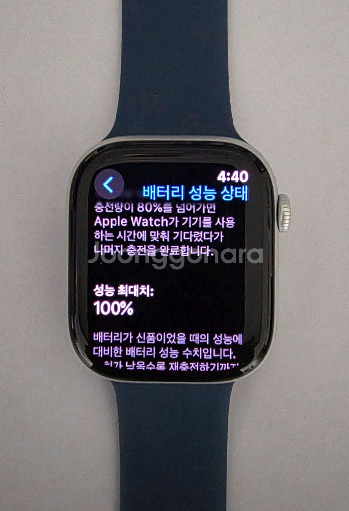 애플워치 10 GPS 46mm 실버: 거의 새거--2